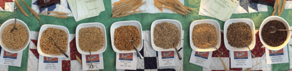 Screen Shot 2016-03-07 at 8.30.25 AM